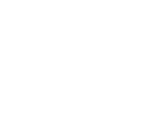 Logo WiseMove Finanse – finansowanie dla firm – kredyt, pożyczka, leasing, faktoring, dotacje, wsparcie rządowe